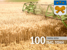 Шацкие хлеборобы намолотили 100 тысяч тонн зерна!