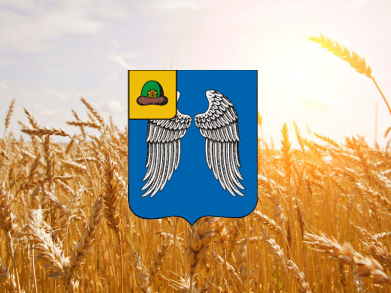 Аграрии Михайловского района Рязанской области намолотили 100 тысяч тонн зерна