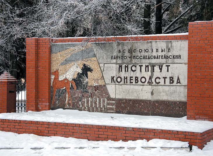 Всероссийский научно-исследовательский институт коневодства отмечает 85-летие со дня образования Всероссийский научно-исследовательский институт коневодства отмечает 85-летие со дня образования