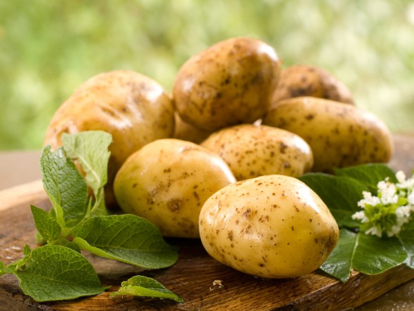 Приглашаем на «День молодой картошки»!