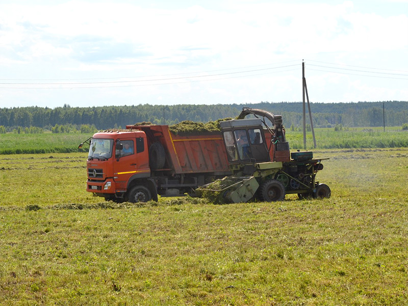 Рязанская область: в Клепиковском районе начали заготовку кормов на зиму