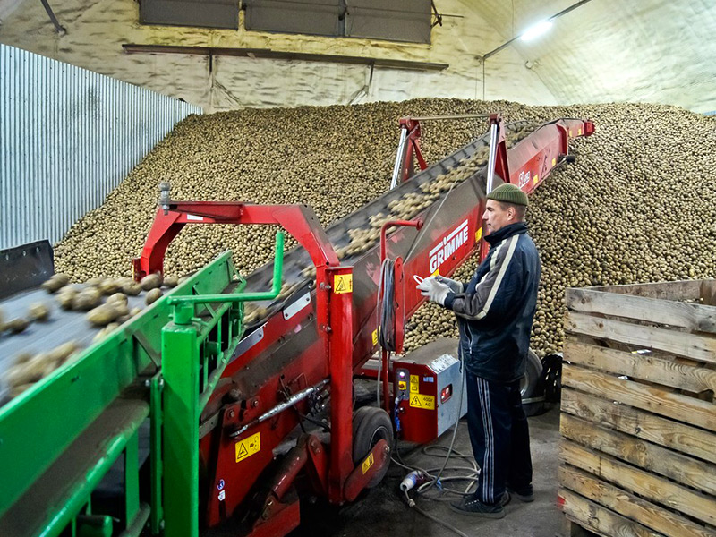 Скопинское предприятие планирует строить ангар с климат-контролем для хранения картофеля