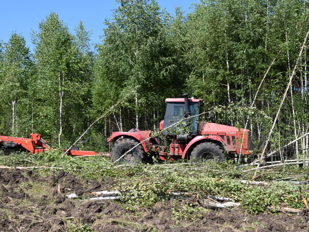 В Спасском ООО «Разбердеевское» экспериментируют с растениями и планируют вернуть в оборот 1000 гектаров неиспользованных земель