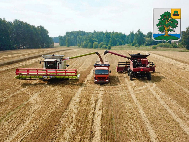 Пронский район: урожай зерна превысил 100 тысяч тонн