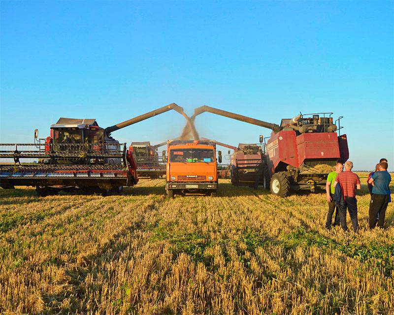 Поздравляем земледельцев Михайловского района с намолотом 100 тысяч тонн зерна!