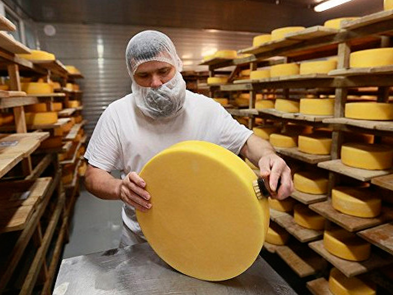 Россия увеличивает производство сыра