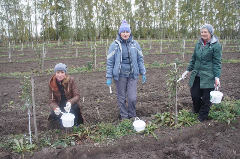 Осень приходит в сады