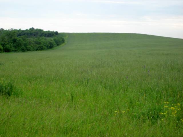 Рязанская область отмечена в числе лучших по вводу в оборот неиспользуемых земель сельскохозяйственного назначения