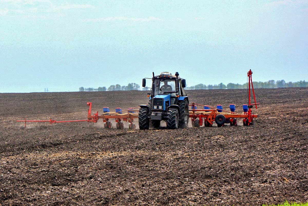 Рязанские аграрии засеяли более половины площадей зерновых культур