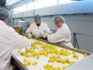 Пищевой комбинат «Милославский» готовится к переработке картофеля нового урожая