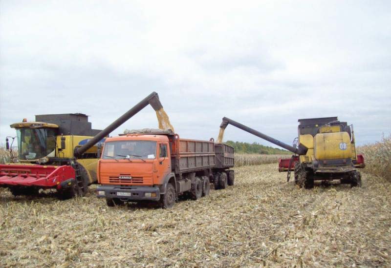 О ходе сельскохозяйственных работ в Рязанской области