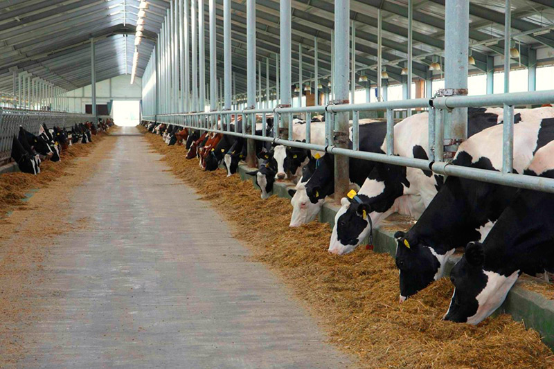 Рязанские аграрии наращивают производство молока