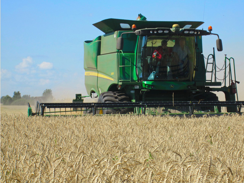 В Рязанской области убрано 35% площади зерновых культур