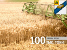 В Ряжском районе получены первые100 тыс. тонн зерна нового урожая!