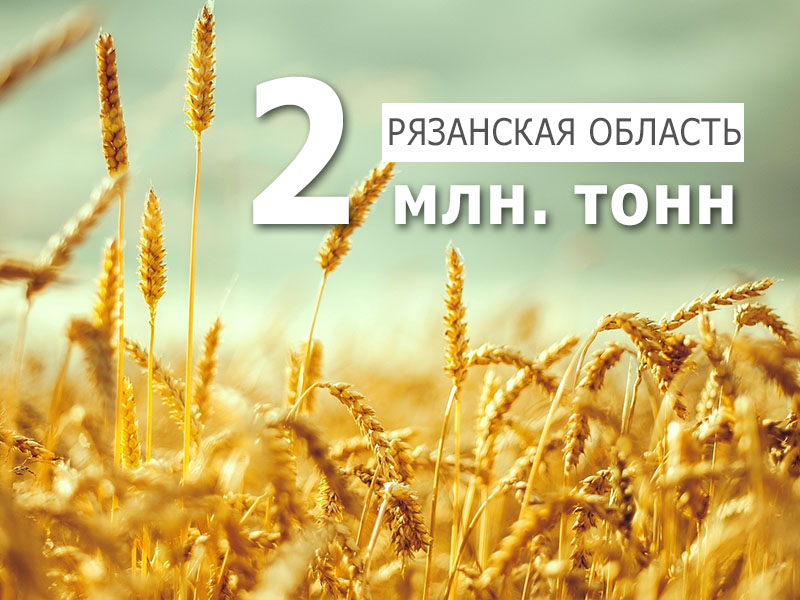 В Рязанской области получено более 2 млн тонн зерна!
