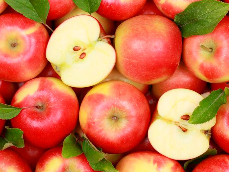 В Рязанской области завершается  сбор яблок
