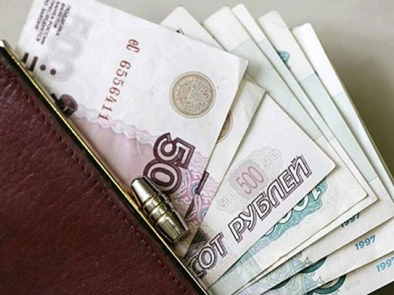 Среднемесячная заработная плата в сельхозорганизациях Рязанской области составила 24,5 тысячи рублей