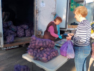 В ярмарках выходного дня приняли участие 164 местных производителя продуктов питания