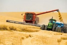 В Рязанской области зерновые обмолочены на 89,5 % площадей