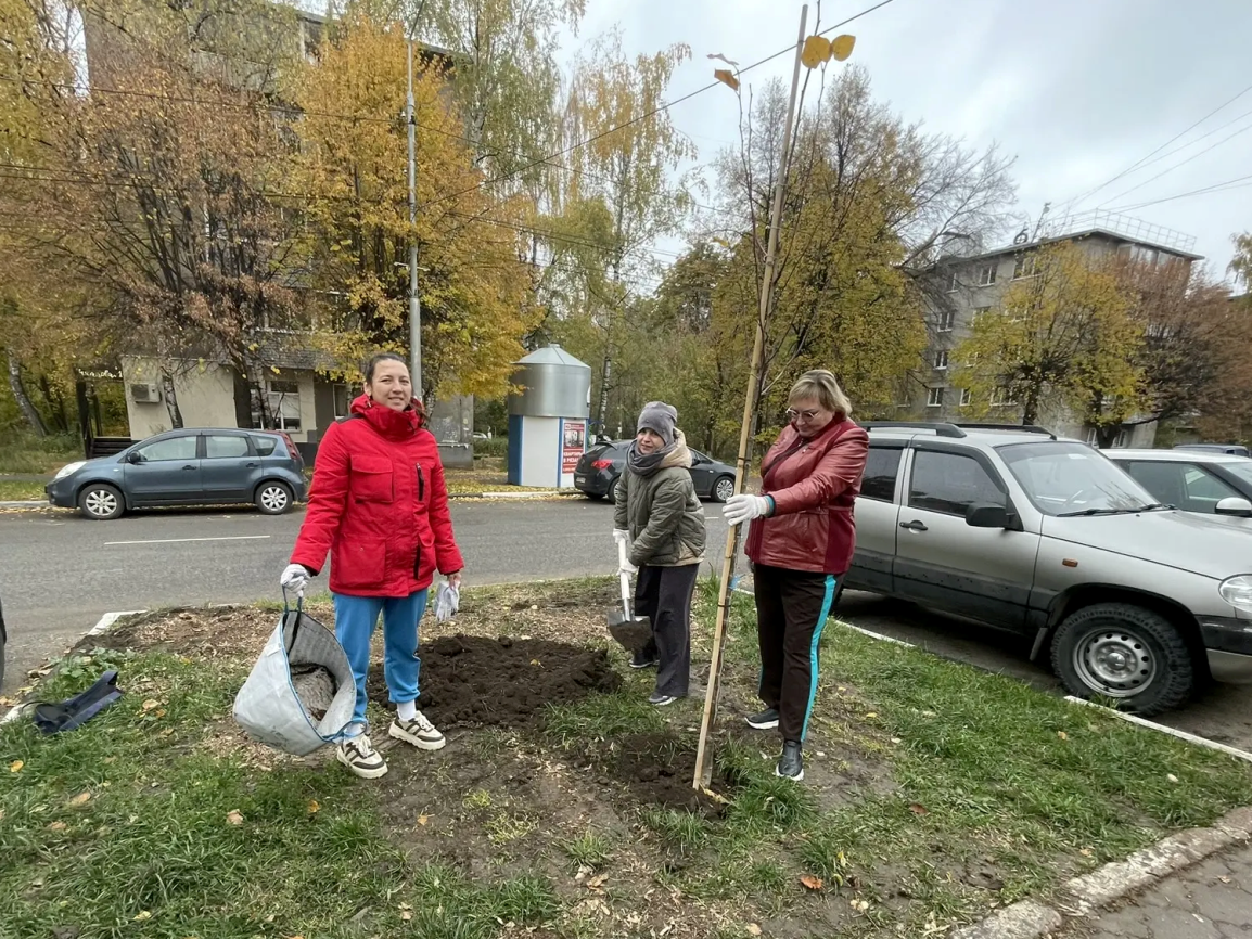 Сотрудники минсельхоза Рязанской области в ходе Дня озеленения посадили липы