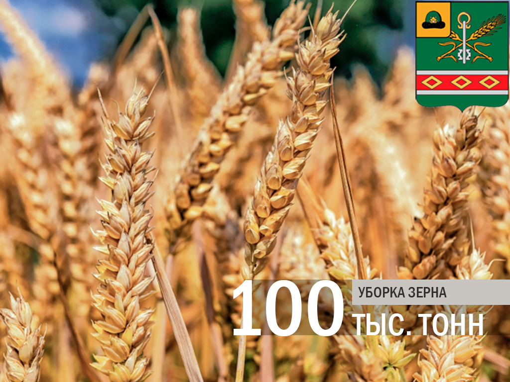 В Кораблинском районе получено более 100 тысяч тонн зерна