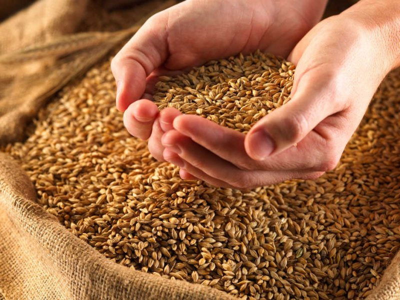 Поздравляем хлеборобов Рязанской области с намолотом полутора миллионов тонн зерна