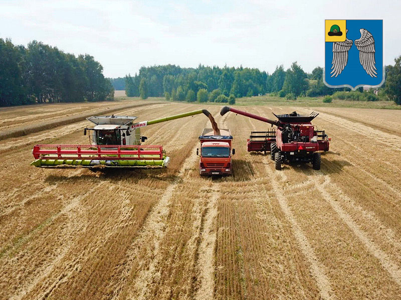 В Михайловском районе получено более 100 тысяч тонн зерна!
