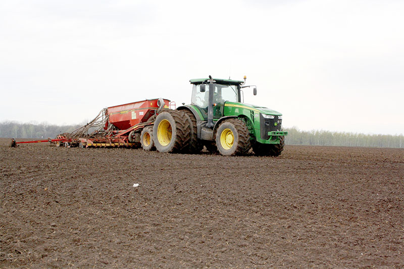 В Рязанской области подкормлено более 40% озимых зерновых культур