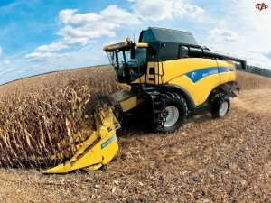В Рязанской области урожай кукурузы и подсолнечника выше прошлогоднего