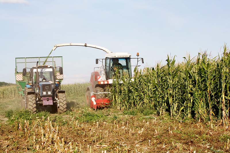 В Рязанской области заготовлено более 100% необходимого количества кормов