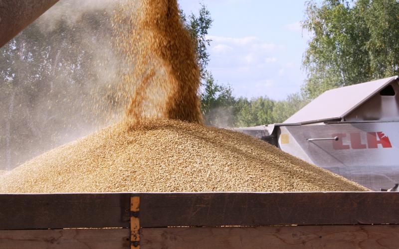 В области завершается подготовка материально-технической базы элеваторов и хлебоприемных предприятий к сезону приемки зерна 2017 года
