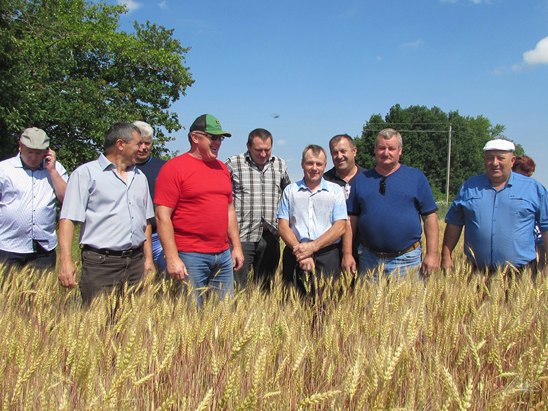 В Чучковском районе предстоит собрать зерновые и зернобобовые с 12 707 гектаров