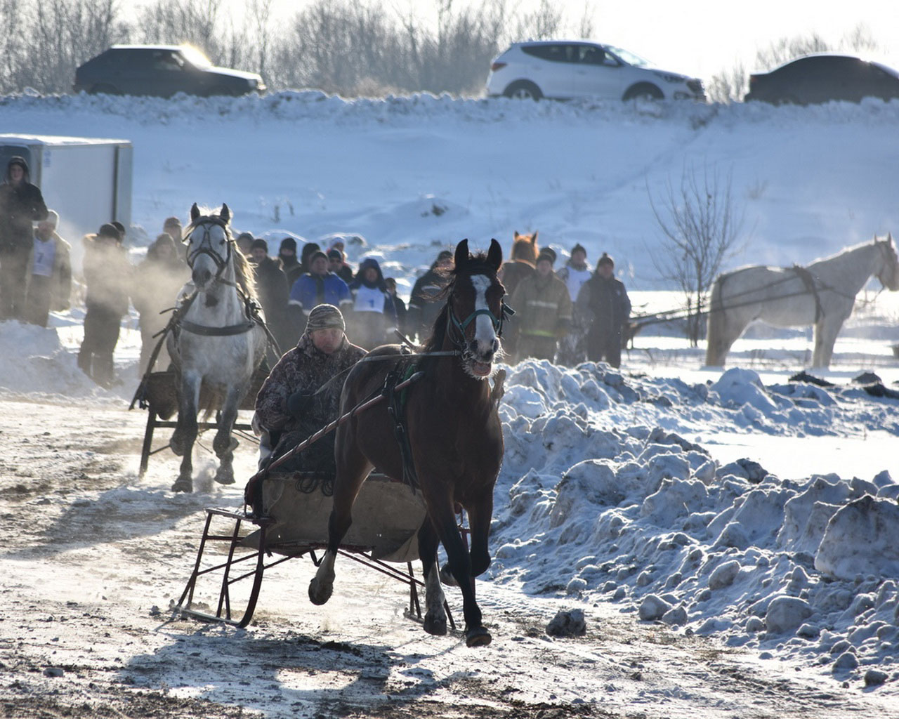 В Сасовском районе провели конные бега и скачки