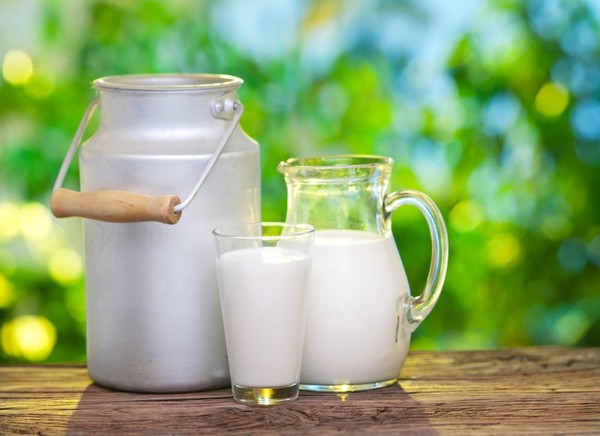 В Шилове начали выпускать ультрапастеризованное молоко и рассольные сыры