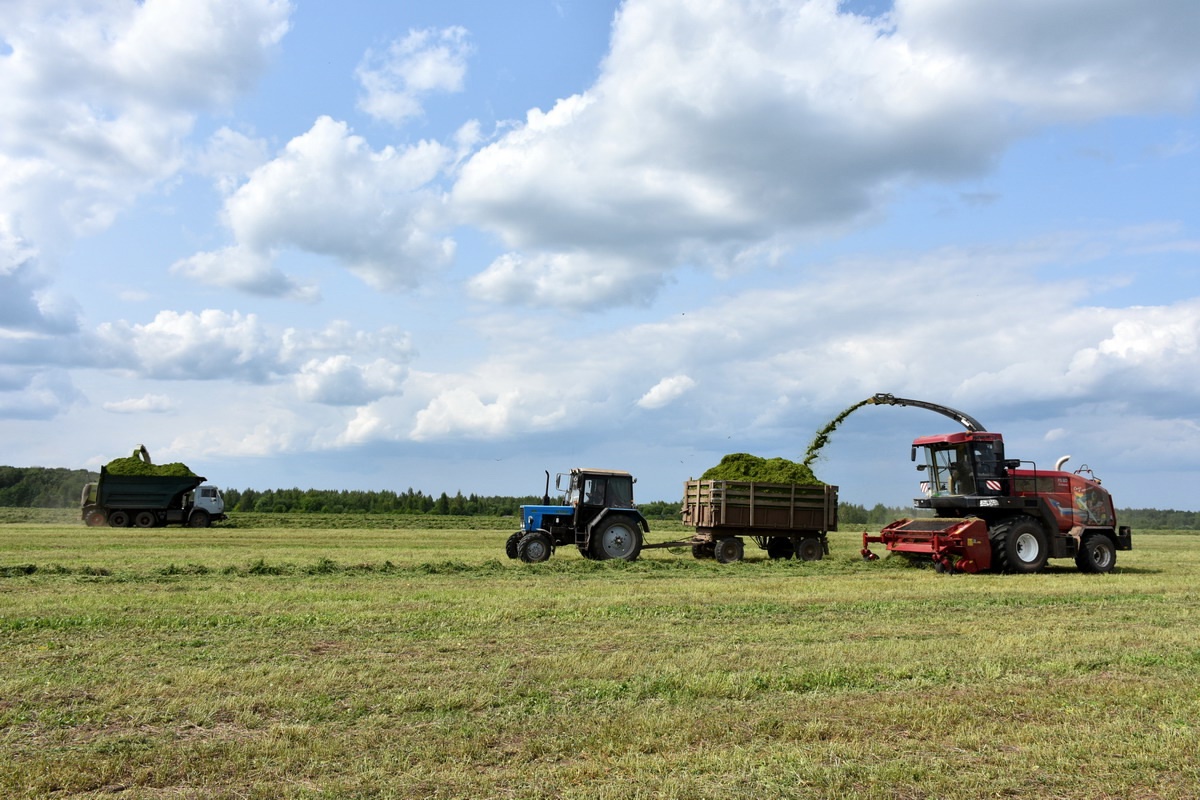 Павел Малков: Будем и дальше развивать животноводство