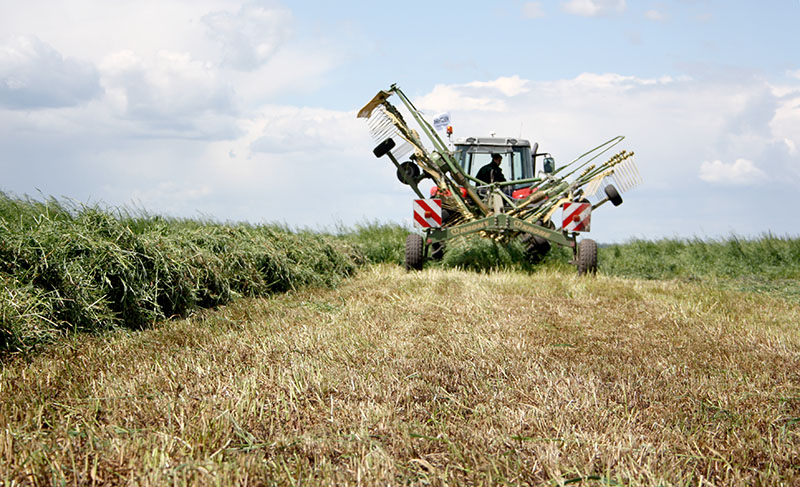 В Рязанской области продолжается заготовка кормов – травы скошены на площади более 25% от запланированного объема