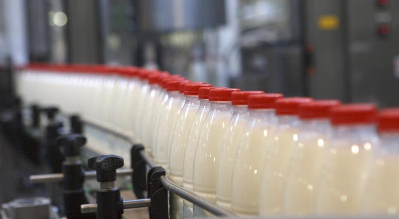 Более пятидесяти процентов рязанского молока перерабатывается внутри области