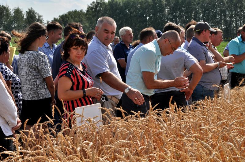 В Рязанском НИИ сельского хозяйства прошел научно-практический семинар В Рязанском НИИ сельского хозяйства прошел научно-практический семинар
