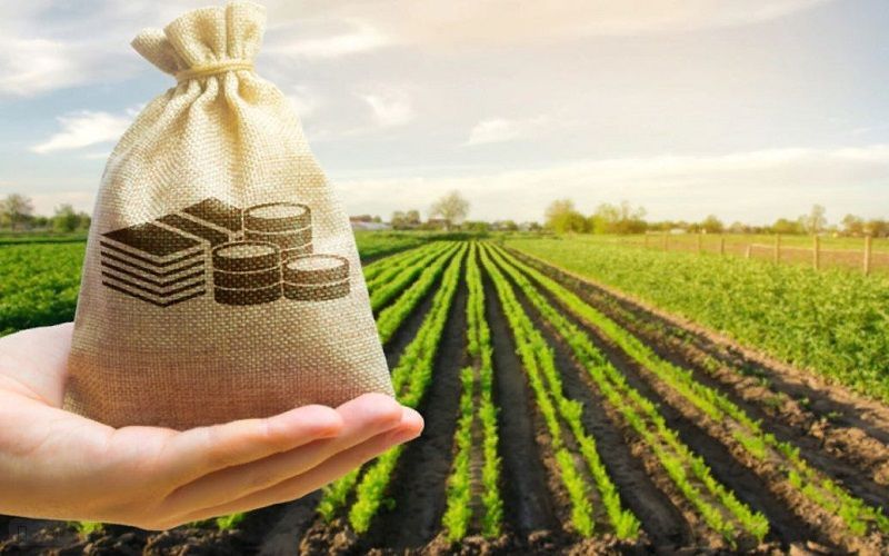 Инвесторы вложили в аграрный сектор Рязанской области около 18 млрд рублей Инвесторы вложили в аграрный сектор Рязанской области около 18 млрд рублей
