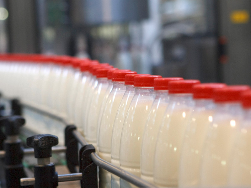Минсельхоз России: объем реализации молока в сельхозорганизациях вырос на 3,2%