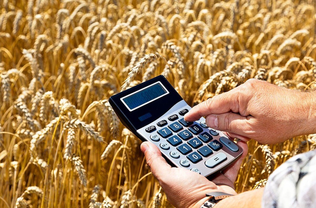 Субсидии рязанским аграриям с начала года превысили 1 миллиард рублей