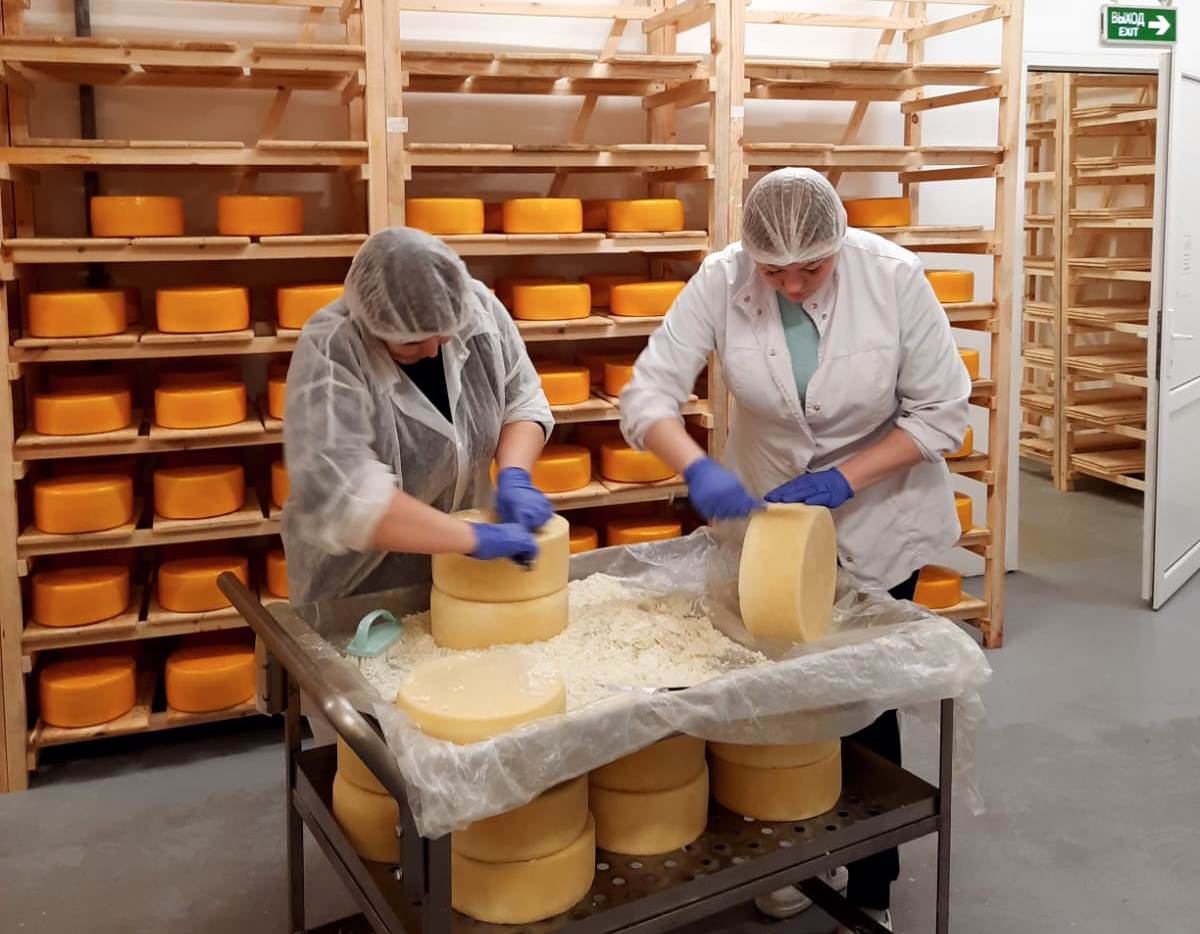 В Рязанской области развивается производство твёрдых сыров под торговой маркой «Брыкин бор»