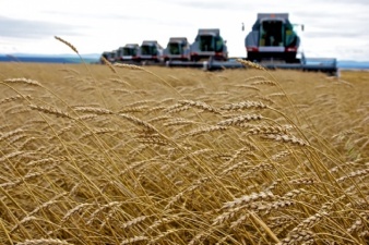 Аграрии Рязанской области собрали 400 тысяч тонн зерна