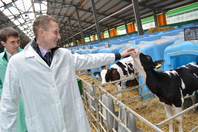 В аграрном секторе Рязанской области ждут молодых специалистов