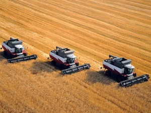 В большинстве районов Рязанской области приступили к уборке зерновых