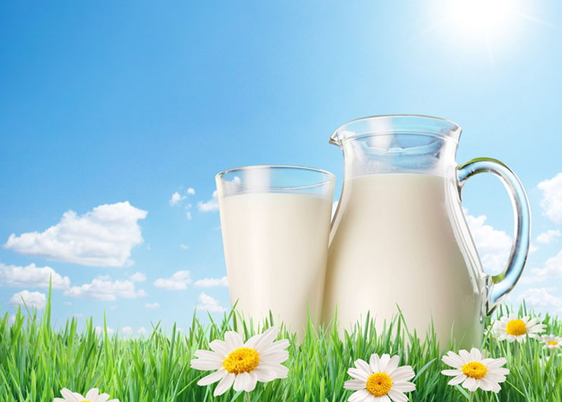 Основной объем инвестиций в Рязанской области приходится на молочное животноводство
