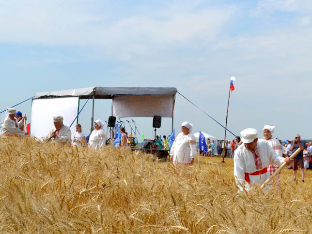 В одном из рязанских сел в день первого снопа провели сельскохозяйственный практикум