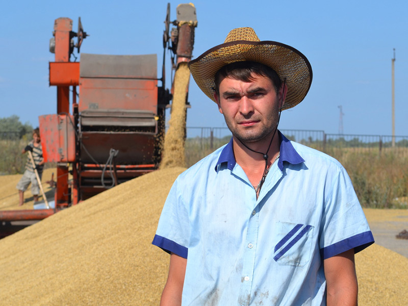 Ухоловский фермер на полученный грант купит коров и трактор