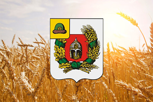 Аграрии Александро-Невского района намолотили более 100 тысяч тонн зерна
