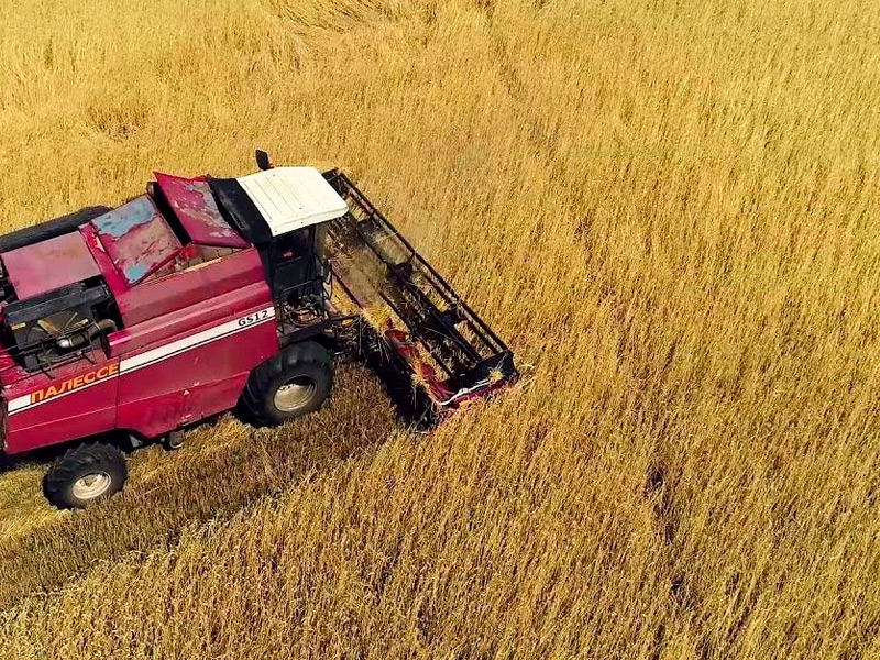 В Милославском и Михайловском районах Рязанской области намолочено более 100 тысяч тон зерна